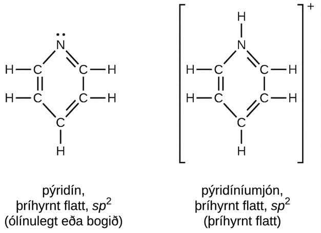 Sýndar eru tvær byggingar, ein fyrir pýridín, sem er þríhyrningslaga flöt og er merkt s p hávísir 2. Hin er fyrir pýridíníumjónina, sem er einnig þríhyrningslaga flöt og er merkt s p hávísir 2. Báðar byggingarnar innihalda sexhyrndan hring sem samanstendur af 5 C atómum og 1 N atómi sem er sýnt efst á hvorri byggingu. Í báðum hringjum skiptast á tvítengi og stök H atóm teygja sig út frá hverju C atómi. Eini byggingarmunurinn á milli bygginganna tveggja varðar ódelt rafeindapar á N atóminu í pýridíni. Þessu er skipt út fyrir tengt H atóm í pýridíníumjóninni sem er sýnd í hornklofum með plúsmerki sem hávísi fyrir utan hornklofana.
