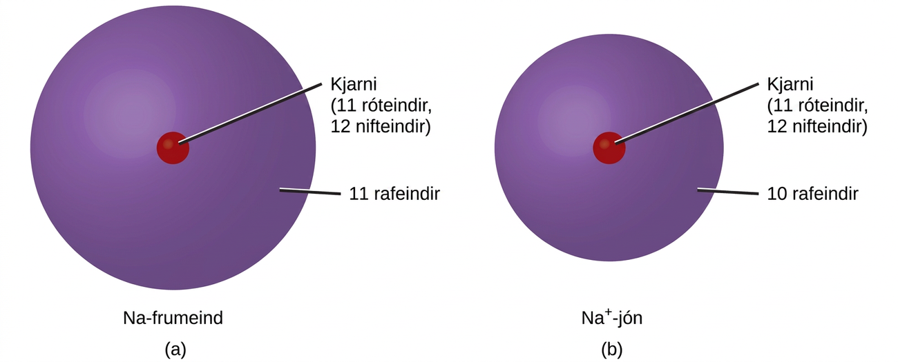 Mynd A sýnir natríumfrumeind, N a, sem hefur kjarna með 11 róteindum og 12 nifteindum. Rafeindaskýið umhverfis frumeindina inniheldur 11 rafeindir. Mynd B sýnir natríumjón, N a með plúsmerki í hávísi. Kjarni hennar inniheldur 11 róteindir og 12 nifteindir. Rafeindaský jónarinnar inniheldur 10 rafeindir og er minna en rafeindaský natríumfrumeindarinnar á mynd A.