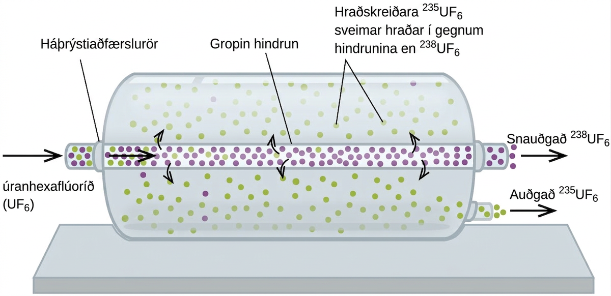 Þessi mynd sýnir stórt sívalt ílát sem liggur lárétt. Mjótt rör eða pípa sem er merkt „gropin hindrun“ liggur lárétt í gegnum miðju rörsins og nær stuttan spöl út úr vinstri og hægri enda sívalningsins. Lengst til vinstri bendir ör til hægri inn í rörið. Þessi ör er merkt „Úranhexaflúoríð ( U F undirskrift 6 ).“ Línustrik tengir merkinguna „Háþrýstingsinngangsrör“ við rörið þar sem það fer inn í sívalninginn. Í stutta hluta rörsins utan við sívalninginn eru 5 litlir, fjólubláir hringir og 4 litlir, grænir hringir. Inni í sívalningnum bendir ör til hægri í gegnum rörið sem inniheldur marga jafndreifða, fjólubláa hringi og nokkra græna hringi sem fækkar eftir því sem farið er frá vinstri til hægri í gegnum sívalninginn. Sveigðar örvar liggja frá innra svæði rörsins út í ytra svæði sívalningsins. Þrjár þessara örva benda inn á svæðið fyrir ofan rörið og þrjár benda inn á svæðið fyrir neðan. Tvö línustrik liggja frá merkingunni „Hraðfleygara yfirskrift 235 U F undirskrift 6 sveimar hraðar í gegnum hindrun en yfirskrift 238 U F undirskrift 6“ að tveimur grænum hringjum í rýminu fyrir ofan rörið. Í stutta hluta rörsins rétt utan við sívalninginn eru 8 litlir, fjólubláir hringir. Ör merkt „Rýrt yfirskrift 238 U F undirskrift 6“ bendir til hægri og liggur frá enda þessa rörs. Stærra rýmið utan rörsins inniheldur um það bil 100 jafndreifða litla græna hringi og aðeins 5 fjólubláa hringi. Átta af fjólubláu hringjunum birtast við vinstri enda sívalningsins. Rör liggur út úr neðri hægri enda sívalningsins. Það hefur 5 græna hringi og síðan ör sem bendir til hægri og merkinguna „Auðgað yfirskrift 235 U F undirskrift 6.“