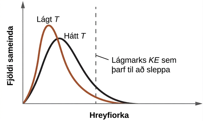 Sýnt er línurit þar sem y-ásinn er merktur „Fjöldi sameinda“ og x-ásinn er merktur „Hreyfiorka“. Tvær línur eru teiknaðar og lóðrétt punktalína, merkt „Lágmarks KE sem þarf til að sleppa“, er dregin til hálfs yfir x-ásinn. Fyrri línan stefnir bratt upp á við og hefur háan topp nálægt vinstri hlið x-ássins. Hún fellur jafn bratt og endar um það bil 60 prósent af leiðinni yfir x-ásinn. Þessi lína er merkt „Lágt T“. Önnur lína, merkt „Hátt T“, byrjar á sama stað og sú fyrri, en nær ekki jafn hátt, er breiðari og endar aðeins lengra til hægri á x-ásnum.