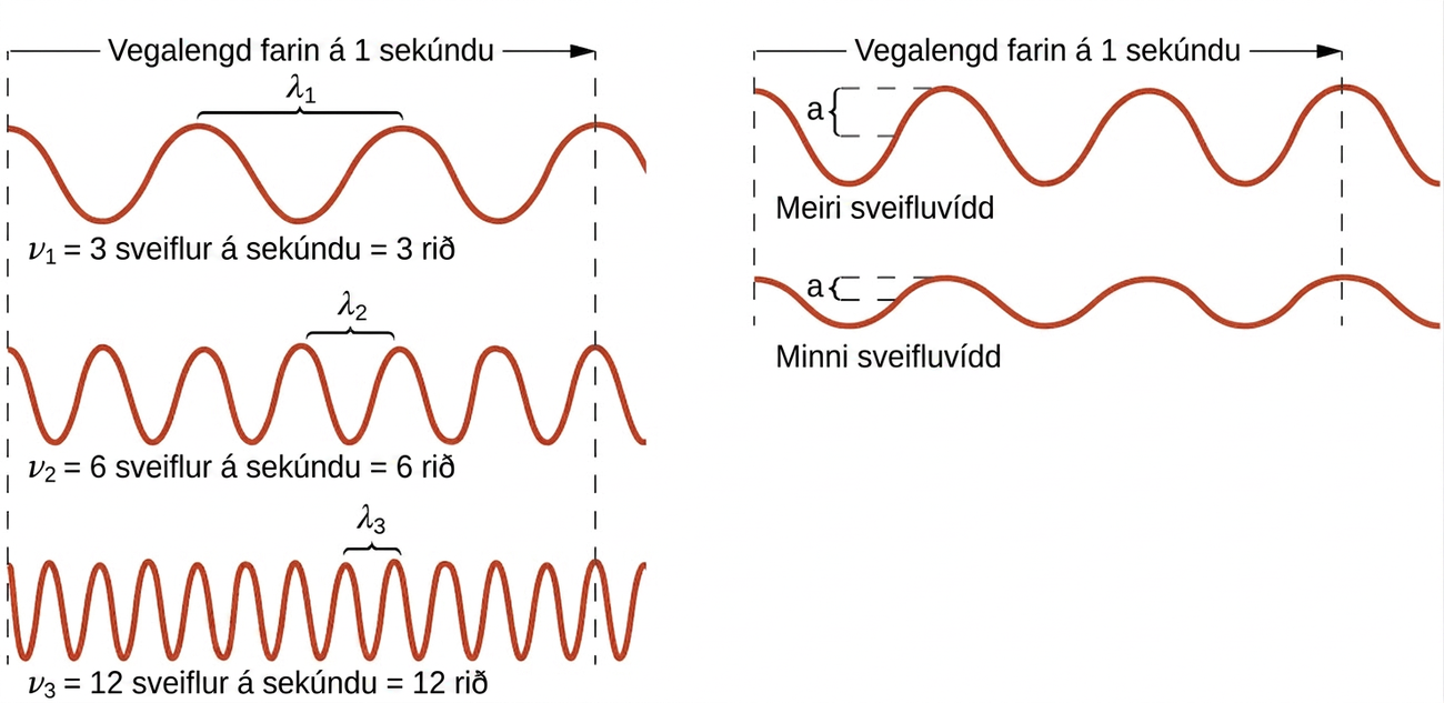 Þessi mynd inniheldur 5 einvíðar sínusbylgjur í tveimur dálkum. Dálkurinn til vinstri inniheldur þrjár bylgjur og dálkurinn til hægri inniheldur tvær bylgjur. Í hvorum dálki liggja brotnar lóðréttar línur niður vinstri og hægri hliðar dálksins. Ör sem bendir til hægri liggur frá vinstri brotnu línunni til þeirrar hægri í báðum dálkum og er merkt: „Vegalengd farin á 1 sekúndu.“ Allar bylgjurnar byrja vinstra megin á bylgjutoppi. Bylgjan efst til vinstri sýnir 3 toppa hægra megin við upphafspunktinn. Svigi merktur „lambda með lágvísi 1“ liggur upp frá öðrum og þriðja toppi. Fyrir neðan þessa bylgju er merkingin: „nú með lágvísi 1 er jafnt og 4 sveiflur á sekúndu er jafnt og 3 rið.“ Bylgjan þar fyrir neðan hefur sex toppa hægra megin við upphafspunktinn með sviga sem tengir á svipaðan hátt þriðja og fjórða topp og er merktur: „lambda með lágvísi 2.“ Fyrir neðan þessa bylgju er merkingin: „nú með lágvísi 2 er jafnt og 8 sveiflur á sekúndu er jafnt og 6 rið.“ Þriðja bylgjan í dálkinum hefur tólf toppa hægra megin við upphafspunktinn með sviga sem tengir á svipaðan hátt sjöunda og áttunda topp og er merktur: „lambda með lágvísi 3.“ Fyrir neðan þessa bylgju er merkingin: „nú með lágvísi 3 er jafnt og 12 sveiflur á sekúndu er jafnt og 12 rið.“ Allar bylgjur í þessum dálki virðast hafa sömu lóðréttu fjarlægð frá toppi til dals. Í öðrum dálki eru bylgjurnar tvær sýndar á svipaðan hátt, en vantar lambda-merkingarnar. Efri bylgjan í þessum dálki hefur meiri lóðrétta fjarlægð milli toppa og dala og er merkt: „Meira útslag.“ Bylgjan þar fyrir neðan hefur minni fjarlægð milli toppa og dala og er merkt: „Minna útslag.“