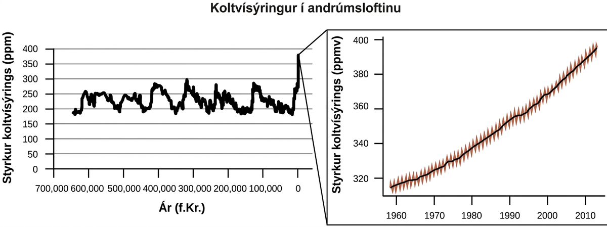 Þessi mynd ber fyrirsögnina „Koldíoxíð í andrúmsloftinu“. Fyrra línuritið hefur merkinguna „Ár (f.Kr.)“ á lárétta ásnum og „Styrkur koldíoxíðs (ppm)“ á þeim lóðrétta. Merkingar á lárétta ásnum byrja á 700.000 vinstra megin og hækka um margfeldi af 100.000 upp í 0 hægra megin. Lóðrétti ásinn byrjar á 0 og hækkar um margfeldi af 50 upp í 400. Sýnt er tennt, sveiflukennt mynstur sem byrjar fyrir 600.000 f.Kr. í undir 200 ppm. Fram að 0 f.Kr. virðast gildin sveiflast upp í um það bil 300 ppm. Þegar farið er lengra til hægri en 0 f.Kr. virðist styrkur koldíoxíðs fara stöðugt vaxandi og hefur náð tæplega 400 ppm á undanförnum árum. Seinna línuritið stækkar þann hluta línuritsins sem er nýlegastur. Þetta línurit byrjar rétt fyrir árið 1960 og inniheldur merkingar fyrir margfeldi af 10 upp að árinu 2010. Lóðrétti ásinn byrjar rétt undir 320 ppm og inniheldur merkingar fyrir öll margfeldi af 20 upp í 400 ppm. Slétt svört lína liggur í gegnum tennt rautt gagnamynstur. Leitnin er stöðug, nánast línuleg aukning frá neðra vinstra horni til efra hægra horns á línuritinu.