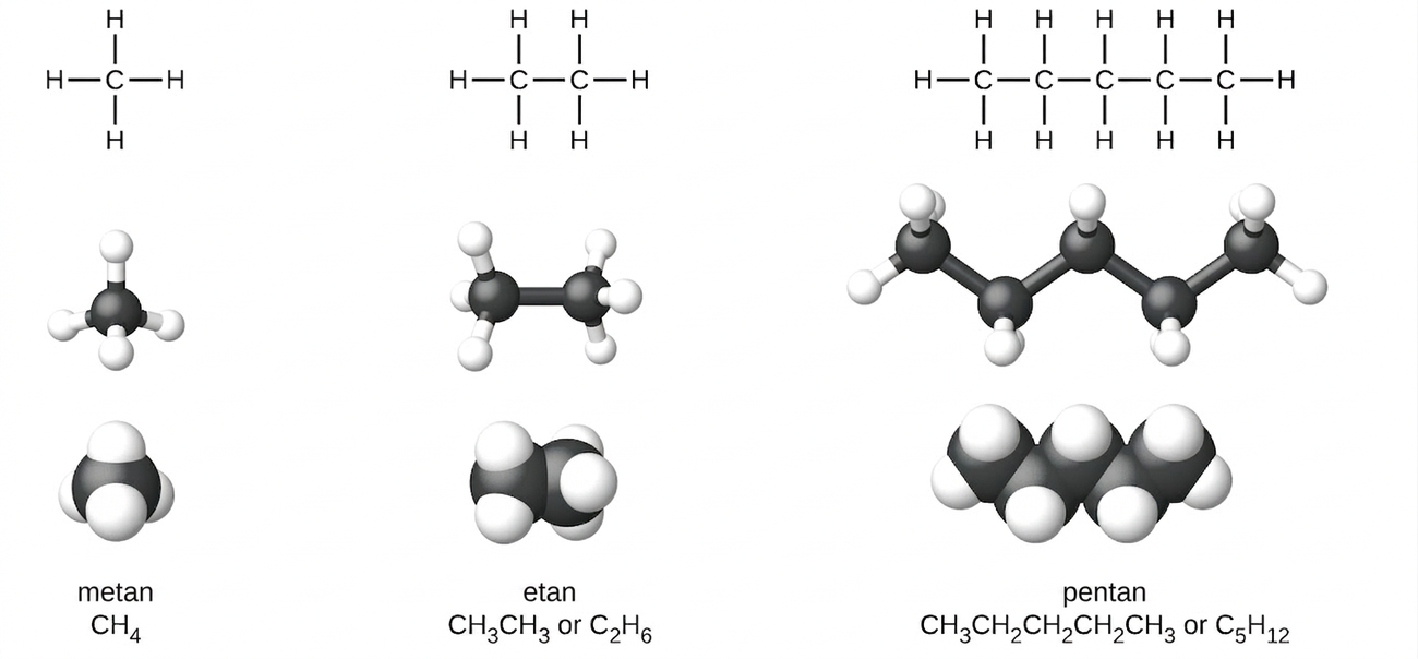 The figure illustrates four ways to represent molecules for molecules of methane, ethane, and pentane. In the first row of the figure, Lewis structural formulas show element symbols and bonds between atoms. Methane has a central C atom with four H atoms bonded to it. Ethane has a C atom with three H atoms bonded to it. The C atom is also bonded to another C atom with three H atoms bonded to it. Pentane has a C atom with three H atoms bonded to it. The C atom is bonded to another C atom with two H atoms bonded to it. The C atom is bonded to another C atom with two H atoms bonded to it. The C atom is bonded to another C atom with two H atoms bonded to it. The C atom is bonded to another C atom with three H atoms bonded to it. In the second row, ball-and-stick models are shown. In these representations, bonds are represented with sticks, and elements are represented with balls. Carbon atoms are black and hydrogen atoms are white in this image. In the third row, space-filling models are shown. In these models, atoms are enlarged and pushed together, without sticks to represent bonds. The molecule names and structural formulas are provided in the fourth row. Methane is named and represented with a condensed structural formula as C H subscript 4. Ethane is named and represented with two structural formulas C H subscript 3 C H subscript 3 and C subscript 2 H subscript 6. Pentane is named and represented as both C H subscript 3 C H subscript 2 C H subscript 2 C H subscript 2 C H subscript 3 and C subscript 5 H subscript 12.