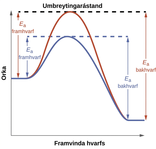 Sýnt er línurit merkt „Millistig”. Y-ás línuritsins er merktur „Orka“ og x-ásinn er merktur „Framgangur hvarfs“. Tveir ferlar eru teiknaðir á línuritið. Báðir byrja miðsvæðis á y-ásnum. Rauði ferillinn hefur brattan upphafshalla þegar hann rís, nær síðan hámarki þar sem hann mætir láréttri punktalínu og lækkar síðan bratt áður en hann jafnast út. Frá upphafspunkti að láréttu línunni er lóðrétt lína með örvum á báðum endum merkt „E lágskrift a fram“. Frá endapunkti að láréttu línunni er lóðrétt lína með örvum á báðum endum merkt „E lágskrift a aftur“. Seinni ferillinn er flatari en sá fyrri og nær ekki jafn háu hámarki á y-ásnum. Hann mætir aðskildri láréttri punktalínu á hámarki sínu, lækkar síðan á svipuðum hraða og fyrri ferillinn áður en hann jafnast út með fyrri ferlinum. Frá upphafspunkti þar sem hallinn byrjar að aukast að láréttu línunni er lóðrétt lína með örvum á báðum endum merkt „E lágskrift a fram“. Frá endapunkti rétt þegar hann jafnast út að láréttu línunni er lóðrétt lína með örvum á báðum endum merkt „E lágskrift a aftur“.