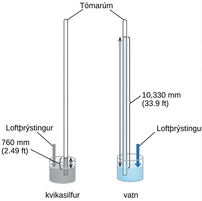 Þessi mynd sýnir tvær loftvogir. Loftvogin til vinstri inniheldur grunnt kar, eða opið ílát, með kvikasilfri. Mjó pípa liggur upp úr karinu. Þessi pípa er lokuð í toppinn. Til hægri er sýndur annar svipaður búnaður með kari sem er fyllt með vatni. Línustrik tengja merkinguna „tómarúm“ við toppana á mjóu pípunum tveimur. Pípan til vinstri sýnir kvikasilfrið í karinu teygja sig upp í súlu í mjóu pípunni. Á sama hátt sýnir pípan til hægri vatnið í karinu teygja sig upp í viðkomandi mjóu pípu. Tvíhöfða örvar liggja frá yfirborði hvors vökva í karinu að yfirborði vökvans í hvorri pípu. Mjó súla eða stika liggur frá yfirborði karsins upp í sömu hæð. Þessi stika er merkt „loftþrýstingur“. Yfirborð vatnsins í pípu þess er mun hærra en yfirborð kvikasilfursins í pípu þess.