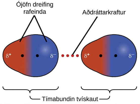 Sýnd eru tvö pör sameinda þar sem hver sameind hefur stærri bláa hlið merkta „delta-merki, mínusmerki“ og minni rauða hlið merkta „delta-merki, plúsmerki“. Nærri miðju beggja sameinda, en þó hvorri á sinni hlið, er svartur punktur. Á milli myndanna tveggja er punktalína merkt „Aðdráttarkraftur“. Á fyrri myndinni eru rauðu og bláu hliðarnar merktar „Ójöfn dreifing rafeinda“. Fyrir neðan báðar myndirnar eru svigar. Svigarnir eru merktir „Tímabundin tvískaut“.
