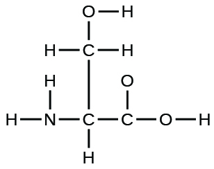 Lewisbygging er sýnd. A nitrogen atom is með eintengi to two hydrogen atoms and a carbon atom. The carbon atom is með eintengi to a hydrogen atom and two other carbon atoms. One of these carbon atoms is með eintengi to two hydrogen atoms and an oxygen atom. The oxygen atom is bonded to a hydrogen atom. The other carbon atom is með eintengi to two oxygen atoms, one of which is bonded to a hydrogen atom.