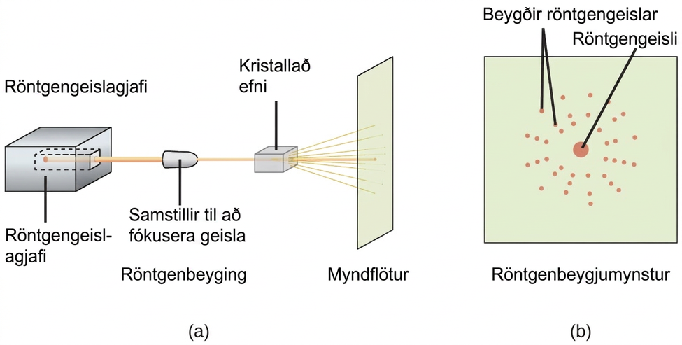 Skýringarmynd, merkt „a“, sýnir tening vinstra megin með rás boraða í hægri hlið hans, merkt „Röntgengeislagjafi“. Geisli kemur út úr þessari rás og ferðast í láréttri línu að sporöskjulaga, stuttu röri, merktu „Samsíðari til að fókusa geisla“ og „Röntgengeislabeygja“, þar sem hann fer í gegnum tening merktan „Kristallað efni“ og dreifist á lóðréttan flöt merktan „Myndflötur“. Önnur skýringarmynd, merkt „b“, sýnir ferningslaga flöt með stórum punkti í miðjunni merktum „Röntgengeisli“, sem er umkringdur smærri punktum sem raðað er í hringi og merktir „Beygðir röntgengeislar“.