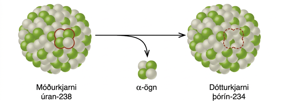 A diagram shows two spheres composed of many smaller white and green spheres connected by a right-facing arrow with another, down-facing arrow coming off of it. The left sphere, labeled “Parent nucleus uranium dash 238” has two white and two green spheres that are near one another and are outlined in red. These two green and two white spheres are shown near the tip of the down-facing arrow and labeled “alpha particle.” The right sphere, labeled “Daughter nucleus radon dash 234,” looks the same as the left, but has a space for four smaller spheres outlined with a red dotted line.