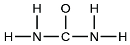 Lewisbygging er sýnd. A nitrogen atom is með eintengi to two hydrogen atoms and a carbon atom. The carbon atom is með eintengi to an oxygen atom and another nitrogen atom. That nitrogen atom is then með eintengi to two hydrogen atoms.