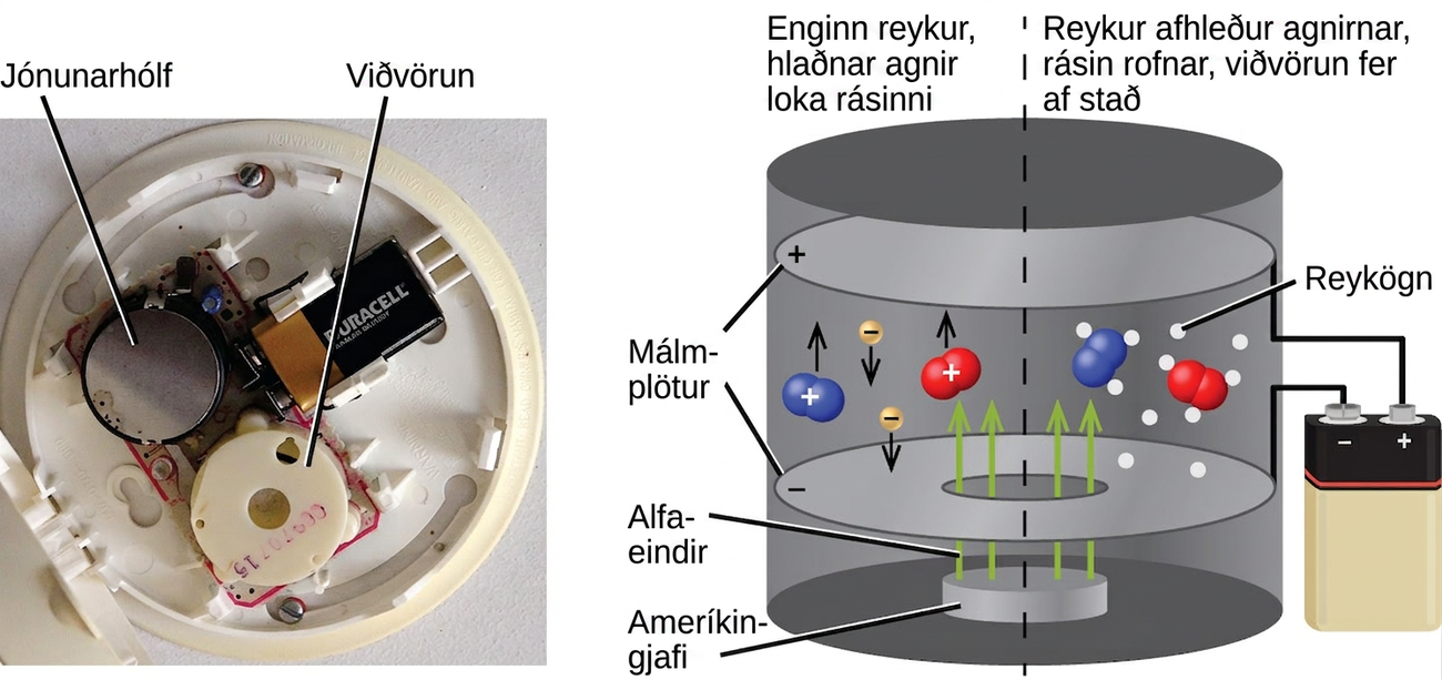 Ljósmynd og skýringarmynd eru sýndar. Ljósmyndin sýnir innviði reykskynjara. Hringlaga plaststykki í neðri hluta skynjarans er merkt „Viðvörun“ á meðan málmskífa efst til vinstri á myndinni er merkt „Jónunarhólf“. Rafhlaða er efst til hægri á skynjaranum. Skýringarmyndin sýnir stækkaða mynd af jónunarhólfinu. Innan í sívölu hulstrinu eru tvær láréttar, hringlaga plötur merktar „Málmplötur“; sú efri er merkt með plúsmerki en sú neðri með mínusmerki. Sýndir eru vírar sem tengjast plötunum og skautum rafhlöðu utan á hólfinu. Skífa í botni hólfsins er merkt „Ameríkíngjafi“ og fjórar örvar, merktar „Alfaeindir“, vísa beint upp frá þessari skífu, í gegnum gat á neikvæðu plötunni og inn í efra rými hólfsins. Tvær sameindir, með plúsmerkjum, sem samanstanda af tveimur bláum kúlum og tvær sameindir, með plúsmerkjum, sem samanstanda af tveimur rauðum kúlum eru í þessu rými, auk tveggja gulra kúlna sem eru merktar með mínusmerkjum og örvum sem vísa niður. Ellefu hvítir punktar umlykja tvær af sameindunum hægra megin á myndinni og eru merktir „reykagnir“. Fyrir ofan vinstri hlið myndarinnar er setningin „Enginn reykur, hlaðnar eindir loka rafrásinni“ en setning fyrir ofan hægri hlið myndarinnar segir „Reykur afhleður eindirnar, rafrásin rofnar, viðvörun fer í gang.“