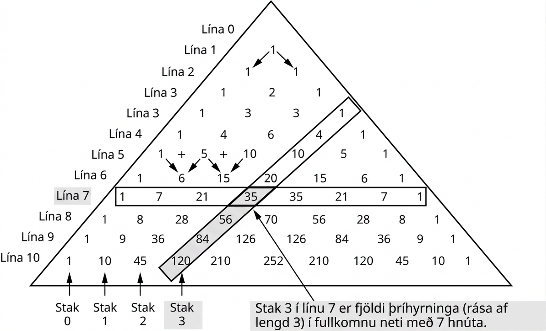 Þríhyrningur Pascals með línum 0 til 10. Lína 0: 1. Lína 1: 1, 1. Lína 2: 1, 2, 1. Lína 3: 1, 3, 3, 1. Lína 4: 1, 4, 6, 4, 1. Lína 5: 1, 5, 10, 10, 5, 1. Lína 6: 1, 6, 15, 20, 15, 6, 1. Lína 7: 1, 7, 21, 35, 35, 21, 7, 1. Lína 8: 1, 8, 28, 56, 70, 56, 28, 8, 1. Lína 9: 1, 9, 36, 84, 126, 126, 84, 36, 9, 1. Lína 10: 1, 10, 45, 120, 210, 252, 210, 120, 45, 10, 1. Talan 6 í línu 6 fæst með því að leggja saman 1 og 5 úr línu 5 og 15 með því að leggja saman 5 og 10. Lína 7 og skálínan með staki 3 eru auðkenndar. Stak 3 í línu 7 er 35, fjöldi þríhyrninga í fullkomnu neti með sjö hnúta.