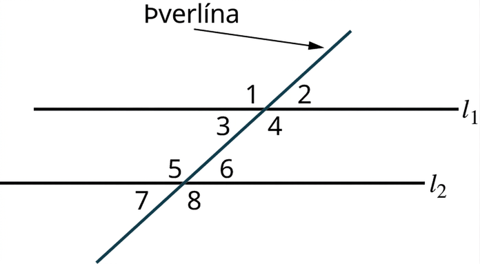 Þverlína sker samsíðu línurnar l₁ og l₂. Við l₁ myndast hornin 1, 2, 3 og 4 og við l₂ hornin 5, 6, 7 og 8. Horn 1, 2, 7 og 8 eru ytri horn en 3, 4, 5 og 6 innri horn.