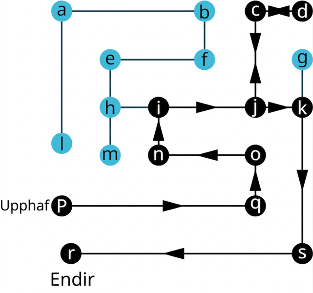 Net með 19 hnúta og 19 leggi. Hnútarnir eru a, l, e, h, m, p, r, q, s, o, n, i, j, k, g, c, d, f og b. Leggirnir tengja la, ab, bf, ef, eh, hm, rs, pq, cd, cj, gk, ij, jk, in, no, oq og ks. Eftirfarandi ganga er auðkennd: p, q, o, n, i, j, k, s og r. p er merktur byrjun og q endir. Leggirnir frá j til c og c til d eru merktir með tvíodda örvum.
