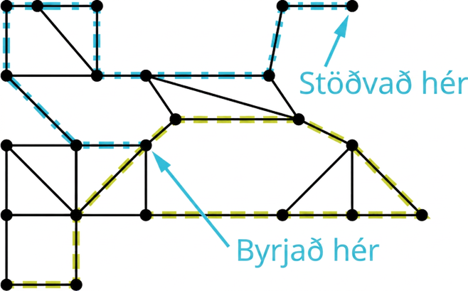 Net með 23 hnúta og 35 leggi. Tíu leggir eru bláir og tíu grænir. Tveir hnútar eru merktir „byrjað hér“ og „stöðvað hér“.