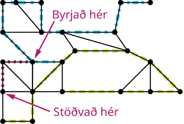 Net með 23 hnúta og 35 leggi. Tíu leggir eru bláir og tíu grænir. Tveir hnútar eru merktir „byrjað hér“ og „stöðvað hér“. Tveir leggir eru fjólubláir.