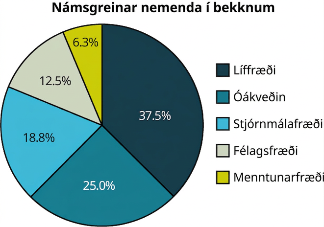 Skífurit sýnir námsbrautir nemenda í bekknum: líffræði 37,5%; óákveðið 25%; stjórnmálafræði 18,8%; félagsfræði 12,5%; menntunarfræði 6,3%.