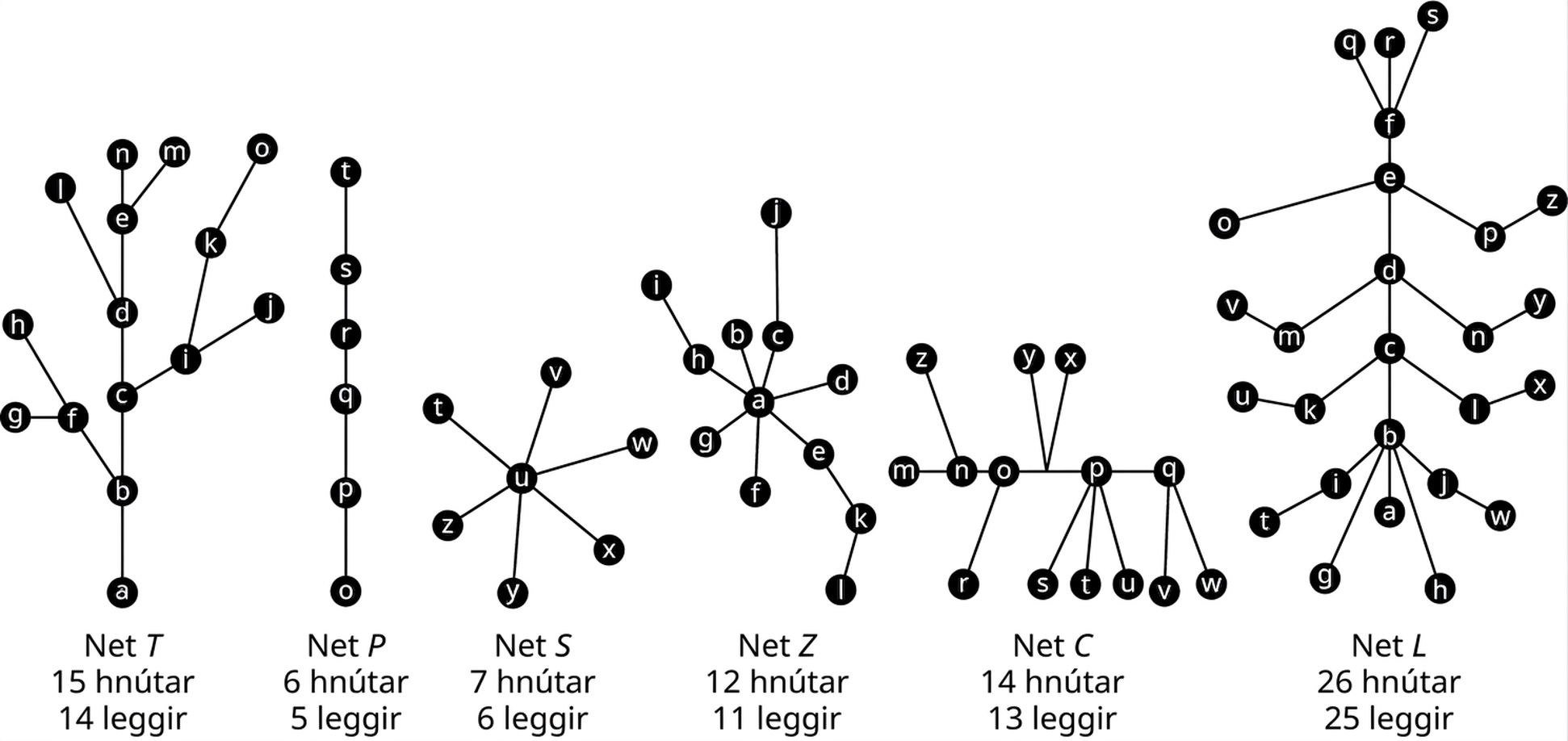 Sex net. Net T hefur 15 hnúta og leggina ab, bc, cd, ci, ij, jk, ko, de, dl, en, em, bf, fg og gh. Net P hefur sex hnúta og leggina ts, sr, rq, qp og po. Net S hefur sjö hnúta og leggina ut, uv, uw, ux, uy og uz. Net Z hefur 12 hnúta og leggina ab, ac, ad, ae, af, ag, ah, hi, cj, ek og kl. Net C hefur 14 hnúta og leggina mn, nz, no, eða, op, ox, oy, py, px, ps, pt, pu, pq, pv og pw. Net L hefur 26 hnúta og leggina fq, ft, fs, fe, eo, ep, pz, ed, dm, mv, dn, ny, dc, ck, ku, cl, lk, cb, bi, it, bj, jw, ba, bg og bh.
