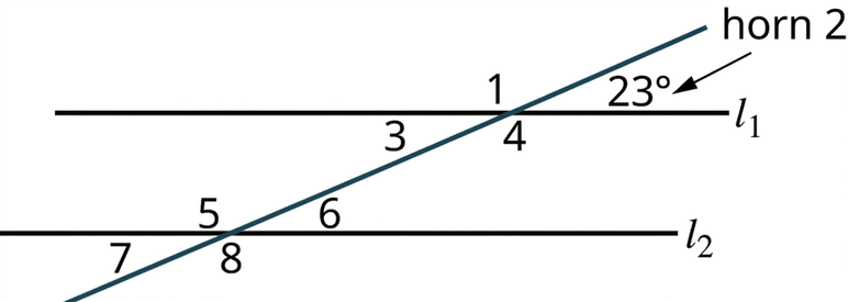 Þverlína sker samsíðu línurnar l₁ og l₂. Við l₁ myndast hornin 1, 23 gráður, 3 og 4 og við l₂ hornin 5, 6, 7 og 8. Horn 1, 23 gráða hornið, 7 og 8 eru ytri horn en 3, 4, 5 og 6 innri horn. Einslægu hornin 1 og 5 eru auðkennd.