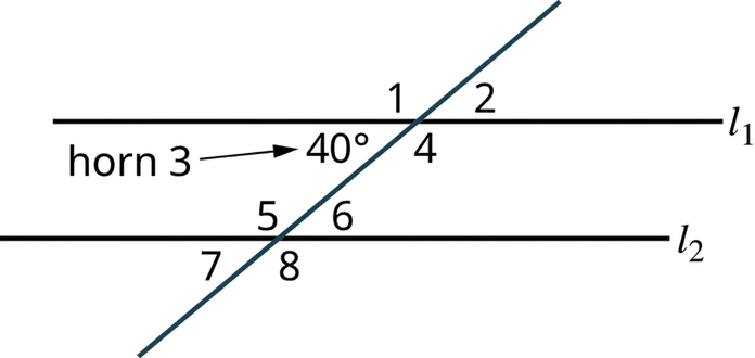 Þverlína sker samsíðu línurnar l₁ og l₂. Við l₁ myndast hornin 1, 2, 40 gráður og 4 og við l₂ hornin 5, 6, 7 og 8. Horn 1, 2, 7 og 8 eru ytri horn en 40 gráða hornið og horn 4, 5 og 6 innri horn. Einslægu hornin 1 og 5 eru auðkennd.