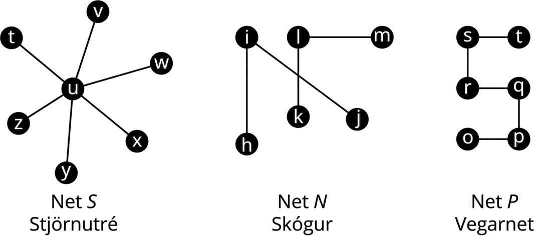 Sex net. Net S hefur sjö hnúta og leggina ab, bf, fg, fc, bc, bd og de. Net N hefur sex hnúta og leggina ij, ih, lk og lm; leggirnir ij og lk skerast. Net P hefur sex hnúta og leggina st, sr, rq, qp og po. Net Z hefur 12 hnúta og leggina ab, ac, ad, ae, af, ag, ah, hi, cj, ek og kl. Net C hefur 14 hnúta og leggina mn, nz, no, eða, op, ox, oy, py, px, ps, pt, pu, pq, pv og pw. Net L hefur 26 hnúta og leggina fq, ft, fs, fe, eo, ep, pz, ed, dm, mv, dn, ny, dc, ck, ku, cl, lk, cb, bi, it, bj, jw, ba, bg og bh.