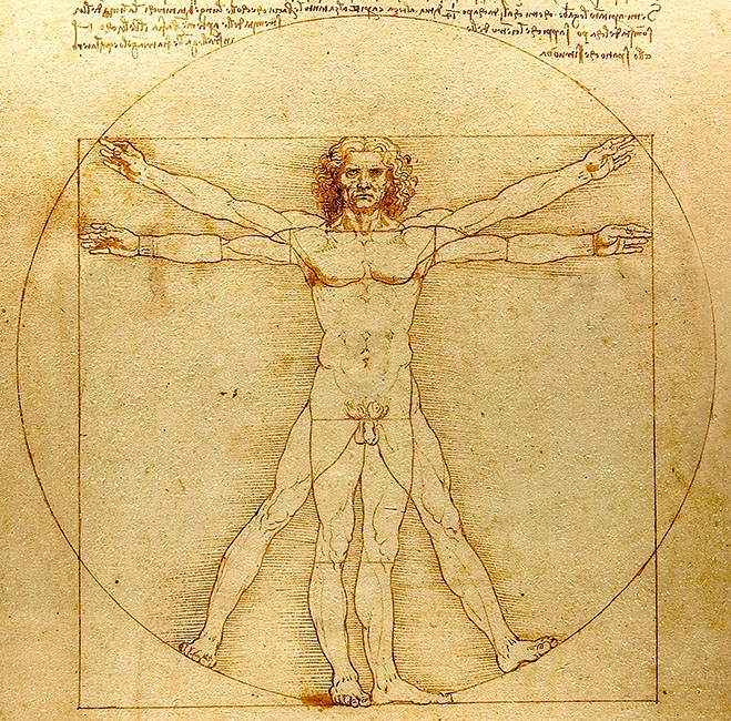 Skönnuð mynd af teikningunni Vitruvian Man.