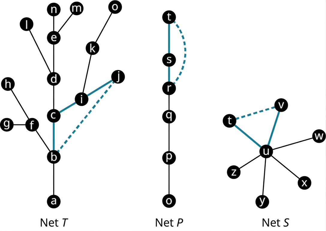 Þrjú net. Net T hefur 15 hnúta og leggina ab, bc, cd, ci, ij, jk, ko, de, dl, en, em, bf, fg og gh. Leggirnir ci og ij eru bláir og strikalagður leggur tengir b og j. Net P hefur sex hnúta og leggina ts, sr, rq, qp og po. Leggirnir ts og sr eru bláir og strikalagður leggur tengir t og r. Net S hefur sjö hnúta og leggina ut, uv, uw, ux, uy og uz. Leggirnir ut og uv eru bláir og strikalagður leggur tengir t og v.