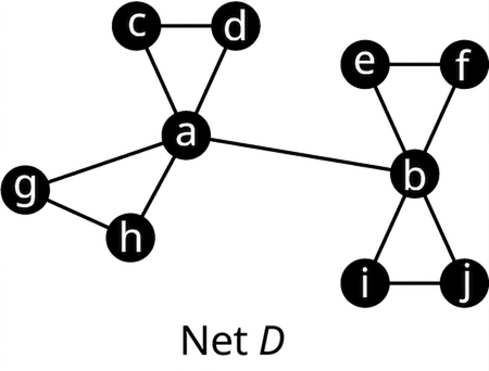 Net D hefur tíu hnúta merkta a til j. Leggirnir eru cd, ca, da, ag, ah, gh, ab, be, bf, ef, bi, bj og ij.