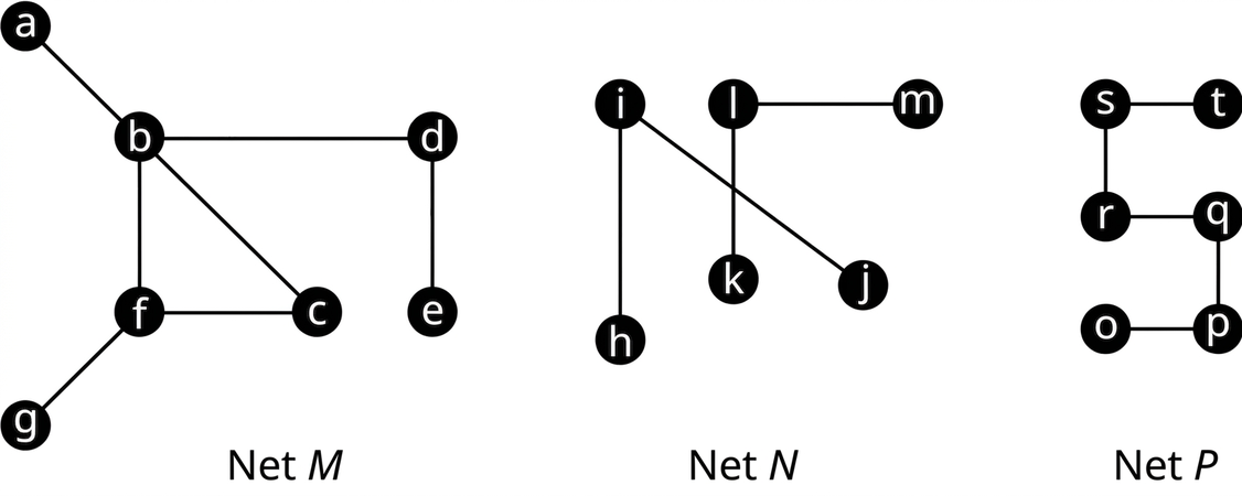Þrjú net. Net M hefur sjö hnúta. Leggirnir eru ab, bf, fg, fc, bc, bd og de. Net N hefur sex hnúta. Leggirnir eru ij, ih, lk og lm. Leggirnir ij og lk skerast. Net P hefur sex hnúta. Leggirnir eru st, sr, rq, qp og po.