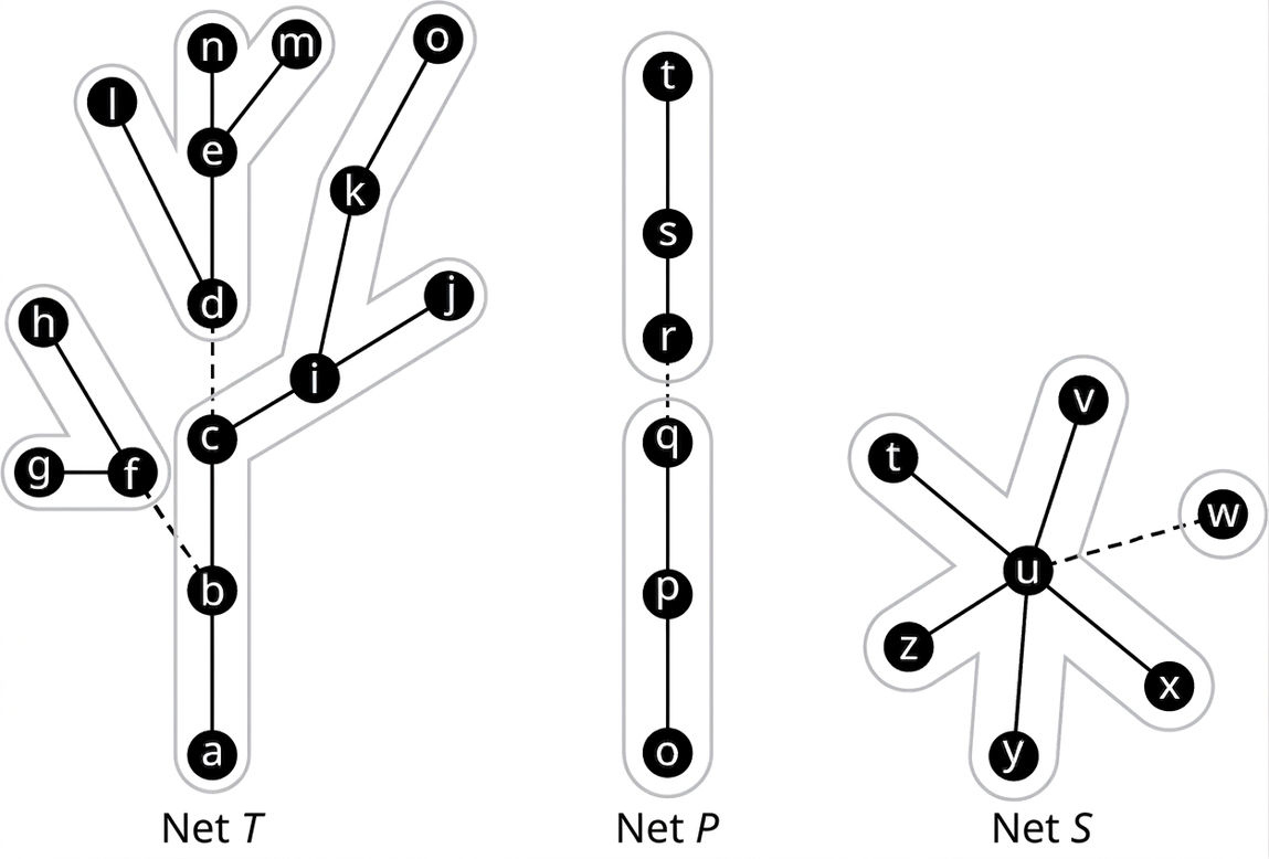 Þrjú net. Net T hefur 15 hnúta og leggina ab, bc, cd, ci, ij, jk, ko, de, dl, en, em, bf, fg og gh. Leggirnir dc og bf eru strikalagðir og netið skiptist í þrjá hluta. Net P hefur sex hnúta og leggina ts, sr, rq, qp og po. Leggurinn qr er strikalagður og netið skiptist í tvo hluta. Net S hefur sjö hnúta og leggina ut, uv, uw, ux, uy og uz. Leggurinn uw er strikalagður og netið skiptist í tvo hluta.