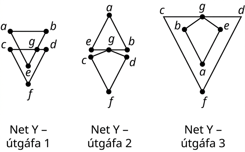 Þrjú net. Útgáfa 1 af neti Y hefur sex hnúta: a, b, c, d, e og f. Hnútarnir a, b og e tengjast með þremur leggjum og mynda þríhyrning. Hnútarnir c, d og f tengjast einnig með þremur leggjum og mynda þríhyrning. Þríhyrningarnir skarast en enginn hnútur er á skurðpunktinum. Útgáfa 2 hefur þríhyrning og flugdrekalaga form. Hnútarnir a, b og e mynda þríhyrning en g, c, d og f flugdrekalaga form. Hnútur g liggur á leggnum eb. Útgáfa 3 hefur flugdrekalaga form inni í þríhyrningi. Hnútarnir c, d og f mynda þríhyrning en g, b, e og a flugdrekalaga form. Hnútur g liggur á leggnum cd.