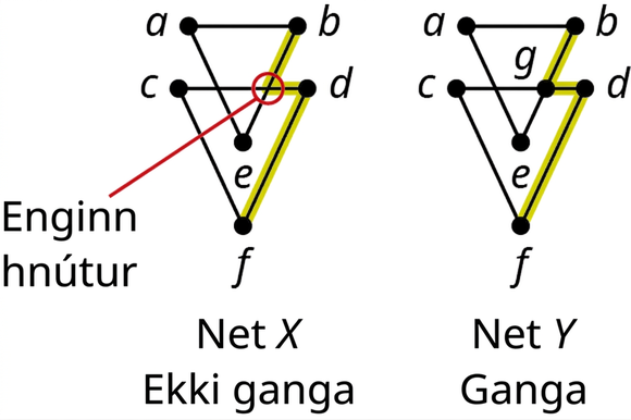 Tvö net eru merkt X og Y. Net X hefur sex hnúta: a, b, c, d, e og f. Hnútarnir a, b og e tengjast með þremur leggjum og mynda þríhyrningslaga form. Hnútarnir c, d og f tengjast einnig með þremur leggjum og mynda þríhyrningslaga form. Þríhyrningarnir skarast en enginn hnútur er á skurðpunktinum. Leggirnir frá b til d og frá d til f eru auðkenndir. Net Y er eins og net X en hnúturinn g er á skurðpunktinum.