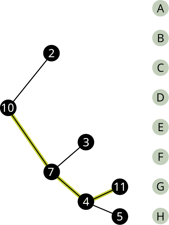 Net hefur sjö hnúta, 10, 2, 7, 3, 4, 11 og 15. Frá 10 greinist til 2 og 7, frá 7 til 3 og 4 og frá 4 til 11 og 5. Leggirnir 10–7, 7–4 og 4–11 eru auðkenndir. Hnútarnir 11 og 5 eru merktir G og H.