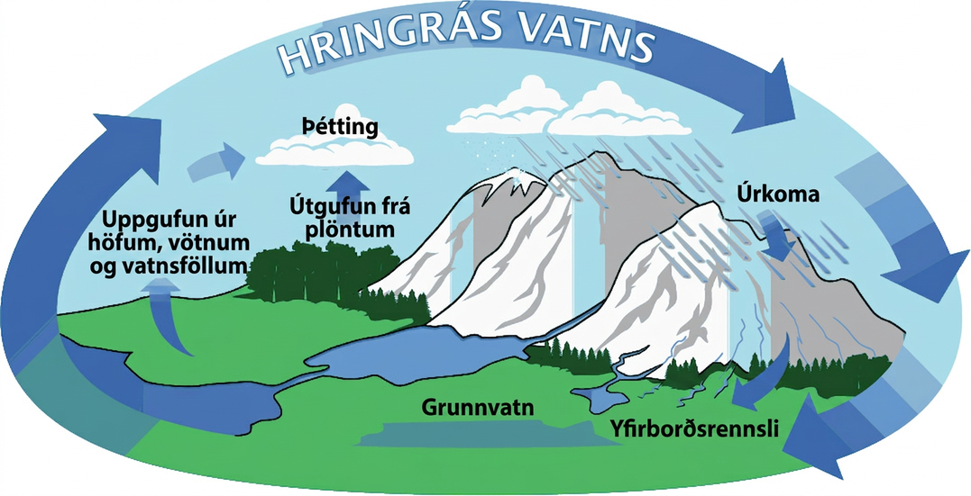 Mynd sýnir hringrás vatns. Vatn gufar upp úr sjó, þéttist í ský og fellur síðan sem úrkoma. Yfirborðsrennsli frá fjöllum berst í stöðuvatn og þaðan aftur til sjávar.
