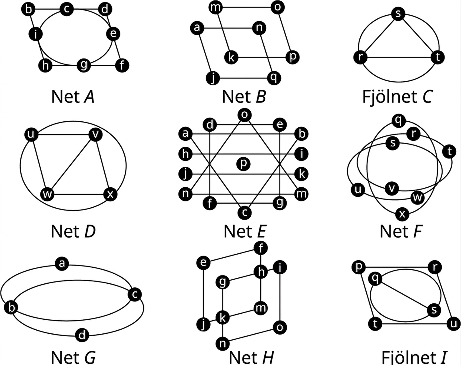 Níu net. Í neti A tengja leggirnir bc, cd, de, ef, fg, gh, hi, ib, ci, ig, ge og ec. Net B er tveir ferningar, mopk og anqj. Í fjölneti C tengja bogadregnir og beinir leggir sr, rt og ts. Í neti D tengja bogadregnir og beinir leggir uv, uw, wx og xv og leggur tengir wv. Í neti E tengja leggirnir on, nm, mo, de, eg, gf, fd, ab, bc, ca, hi, ik, kj og jh. Í neti F tengja þeir qx, xq, rt, tv, vr, tw, wu og us. Í neti G tengja þeir ac, cb, ba, bc, cd og db. Í neti H tengja þeir je, ef, hi, io, on, nk, kj, kg, gh, hm og mk. Í fjölneti I tengja leggirnir pr, ru, ut og t. Þrír leggir tengja q og s. Fyrri bogadregni leggurinn snertir leggina pr og rs en sá seinni leggina pt og tu.