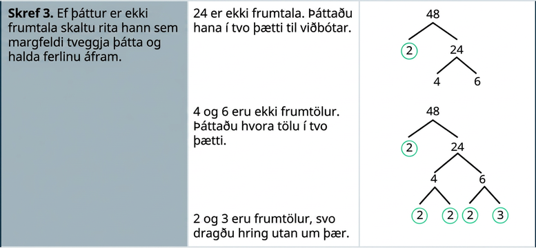 Í næstu línu stendur í fyrsta reit: „Skref 3. Ef þáttur er ekki frumtala skal rita hann sem margfeldi tveggja þátta og halda ferlinu áfram.“ Í öðrum reit stendur: „24 er ekki frumtala. Skiptið henni í 2 þætti til viðbótar.“ Í þriðja reit er upphaflega þáttatréð með 48 efst og tveimur greinum niður að 2, sem er undirstrikuð, og 24. Tvær greinar til viðbótar liggja frá 24 niður að 4 og 6. Einni línu neðar stendur í miðjum reitnum: „4 og 6 eru ekki frumtölur. Skiptið hvorri þeirra í tvo þætti.“ Í reitnum hægra megin er þáttatréð endurtekið. Tvær greinar liggja frá 4 niður að 2 og 2; hringur er um bæði 2s. Tvær aðrar greinar liggja frá 6 niður að 2 og 3 og hringur er um báðar tölurnar. Vinstra megin stendur: „2 og 3 eru frumtölur, svo dragið hring um þær.“