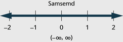 Myndin sýnir ójöfnu sem er samsemd. Fyrir neðan er talnalína frá mínus 2 til 2 með striki við hverja heiltölu. Samsemdin er sýnd á talnalínunni með dökkri línu sem liggur í báðar áttir. Ójafnan er einnig rituð með biltáknum sem hringsvigi, mínus óendanleiki komma óendanleiki, hringsvigi.