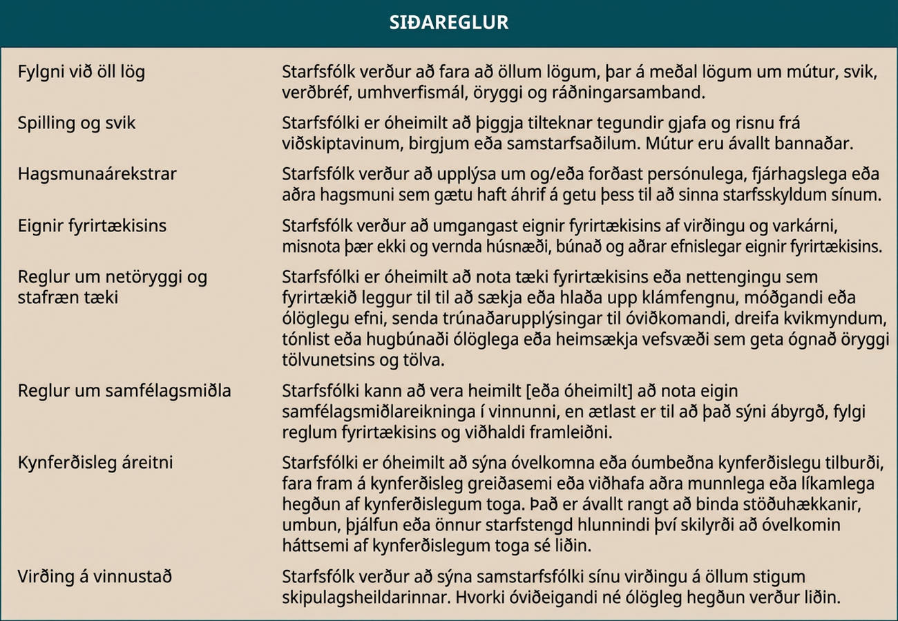 „Siðareglur“ lýsa væntingum í nokkrum flokkum. Um fylgni við öll lög segir að starfsfólk skuli fara að öllum lögum, meðal annars um mútur, svik, verðbréf, umhverfismál, öryggi og atvinnumál. Um spillingu og svik segir að starfsfólk megi ekki þiggja tilteknar gjafir eða risnu frá viðskiptavinum, birgjum eða samstarfsaðilum. Mútur eru bannaðar undir öllum kringumstæðum. Um hagsmunaárekstra segir að starfsfólk skuli upplýsa um og/eða forðast persónulega, fjárhagslega eða aðra hagsmuni sem geta haft áhrif á getu þess til að gegna starfi sínu. Um eignir fyrirtækisins segir að starfsfólk skuli fara með þær af virðingu og gát, ekki misnota þær og vernda aðstöðu og aðrar efnislegar eignir. Samkvæmt stefnu um netöryggi og stafræn tæki má starfsfólk ekki nota tæki eða nettengingar fyrirtækisins til að sækja eða senda klámfengið, móðgandi eða ólöglegt efni; senda trúnaðarupplýsingar til óheimilla viðtakenda; dreifa kvikmyndum, tónlist eða hugbúnaði í heimildarleysi; eða heimsækja vafasama vefi sem geta stefnt neti og tölvum í hættu. Samkvæmt samfélagsmiðlastefnu má starfsfólk eftir atvikum nota persónulega samfélagsmiðlareikninga í vinnu, en þess er vænst að það sýni ábyrgð, fylgi stefnu fyrirtækisins og viðhaldi framleiðni. Um kynferðislega áreitni segir að starfsfólk megi ekki sýna óvelkomna kynferðislega nálgun, fara fram á kynferðislegan greiða eða viðhafa aðra munnlega eða líkamlega hegðun af kynferðislegum toga. Það er alltaf rangt að setja það sem skilyrði fyrir stöðuhækkun, umbun, þjálfun eða öðrum starfstengdum réttindum að starfsmaður sætti sig við óvelkomna hegðun af kynferðislegum toga. Um virðingu á vinnustað segir að starfsfólk skuli sýna samstarfsfólki á öllum stigum virðingu. Hvorki óviðeigandi né ólögleg hegðun verður liðin.