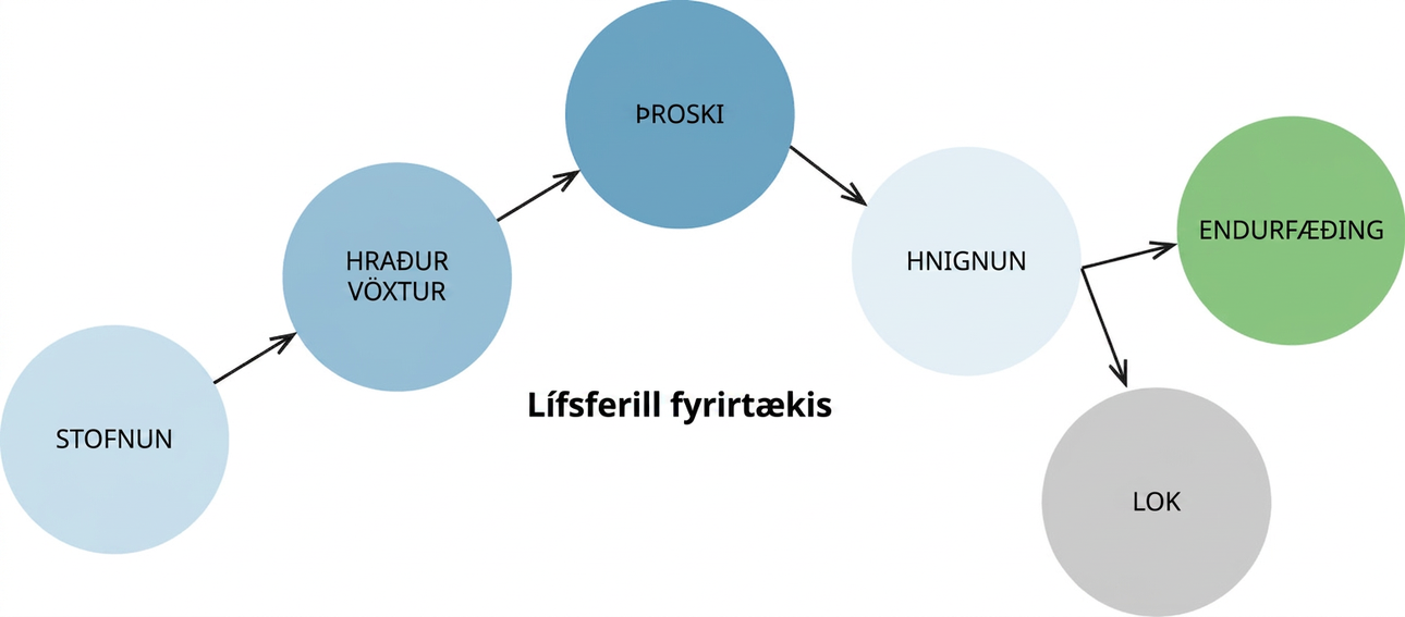 Lífsferill fyrirtækis frá stofnun til örs vaxtar, þroska og hnignunar og þaðan annaðhvort til endurfæðingar eða loka.