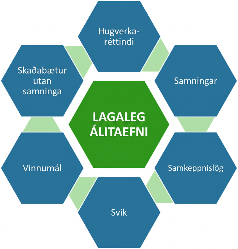 Lagaleg álitaefni skiptast í hugverkaréttindi, samninga, samkeppnislög, svik, vinnumál og skaðabætur utan samninga.