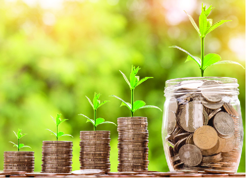 Ljósmynd af stöflum af smápeningum og krukku með smápeningum, þar sem planta vex upp úr hverjum stafla og krukkunni.