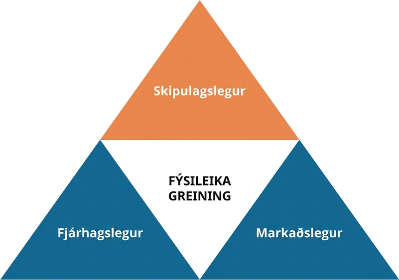 Fýsileikagreining skiptist í fjárhagslega, markaðslega og skipulagslega þætti.