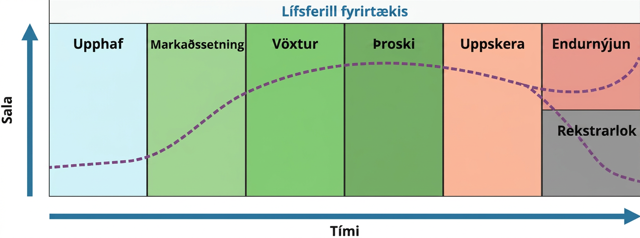 Lífsferill fyrirtækis færist frá upphafsstigi yfir í markaðsinnkomu, vöxt, þroska og uppskeru og þaðan annaðhvort í endurnýjun eða lok rekstrar. Bogin lína sýnir þessa framvindu.