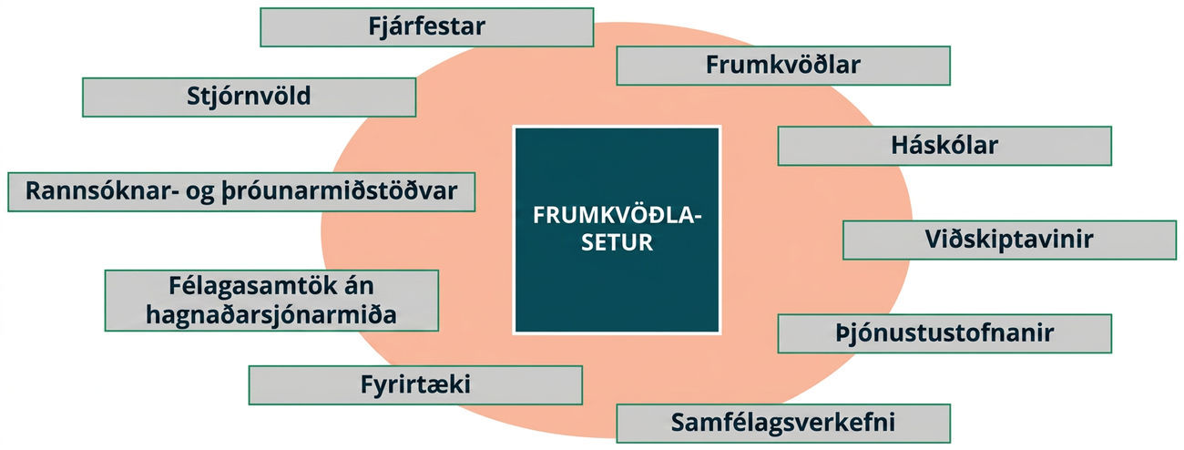 Skýringarmynd merkt „frumkvöðlasetur“ telur upp mögulega þátttakendur: fjárfesta, stjórnvöld, rannsóknar- og þróunarmiðstöðvar, félagasamtök án hagnaðarsjónarmiða, fyrirtæki, frumkvöðla, háskóla, viðskiptavini, þjónustusamtök og samfélagsverkefni.
