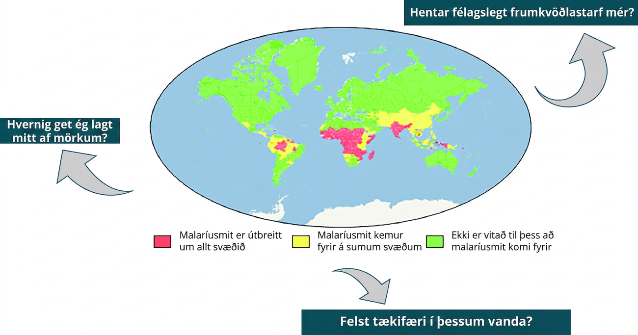 Heimskort sýnir útbreiðslu malaríusmits. Svæði þar sem smit á sér stað um allt svæðið ná yfir norðurhluta Suður-Ameríku, stærstan hluta Afríku og Indlands og hluta Indónesíu. Svæði þar sem smit á sér stað sums staðar ná yfir Mið-Ameríku, norðurhluta Suður-Ameríku, austan- og sunnanverða Afríku og stóran hluta Suður-Asíu og Indónesíu. Á öðrum svæðum kortsins er að mestu ekki vitað til þess að malaríusmit eigi sér stað. Þrír textareitir beina spurningum til nemenda: „Hentar samfélagslegt frumkvöðlastarf mér?“, „Hvernig get ég lagt lið?“ og „Felur vandamálið í sér tækifæri?“