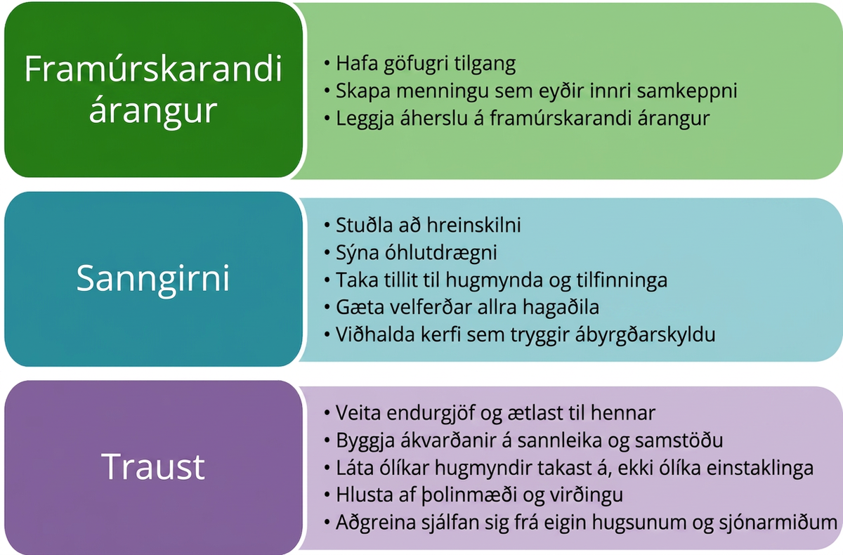 Grunneiginleikar siðferðilega þenkjandi frumkvöðla og stjórnenda eru framúrskarandi árangur (hafa æðri tilgang, skapa menningu sem útilokar innri samkeppni og leggja áherslu á framúrskarandi árangur), sanngirni (stuðla að hreinskilni, sýna óhlutdrægni, taka tillit til hugmynda og tilfinninga, vernda velferð allra hagsmunaaðila og viðhalda ábyrgðarkerfi) og traust (veita endurgjöf og ætlast til hennar; byggja ákvarðanir á sannleika og samstöðu; láta ólíkar hugmyndir takast á en ekki einstaklinga; hlusta af þolinmæði og virðingu; líta á eigin hugsanir og skoðanir með hlutlægri fjarlægð).