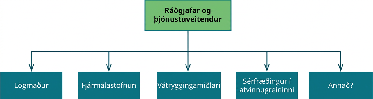 Skýringarmynd með fyrirsögninni Ráðgjafar og þjónustuaðilar efst og örvum að lögmanni, fjármálastofnun, vátryggingaráðgjafa, sérfræðingi í atvinnugrein og öðrum aðila.