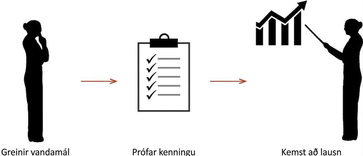 Teiknimynd af einstaklingi sem greinir vandamál, prófar kenningu sem gátlisti táknar og kemst að lausn með því að kynna línurit.