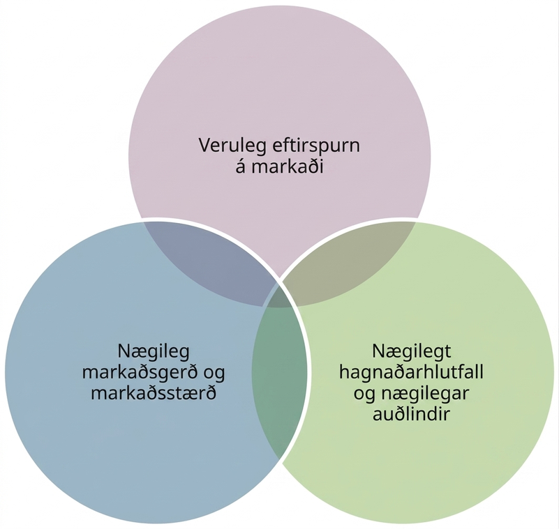Þrír hringir skarast. Þeir eru merktir „veruleg eftirspurn á markaði“, „nægilegt hagnaðarhlutfall og nægilegar auðlindir“ og „nægileg markaðsgerð og markaðsstærð“.