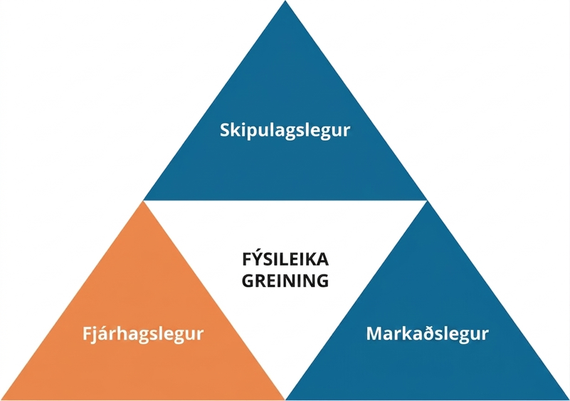 Fýsileikagreining skiptist í fjárhagslega, markaðslega og skipulagslega þætti.
